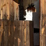 컨트리하우스 Casa Yolanda Bojar